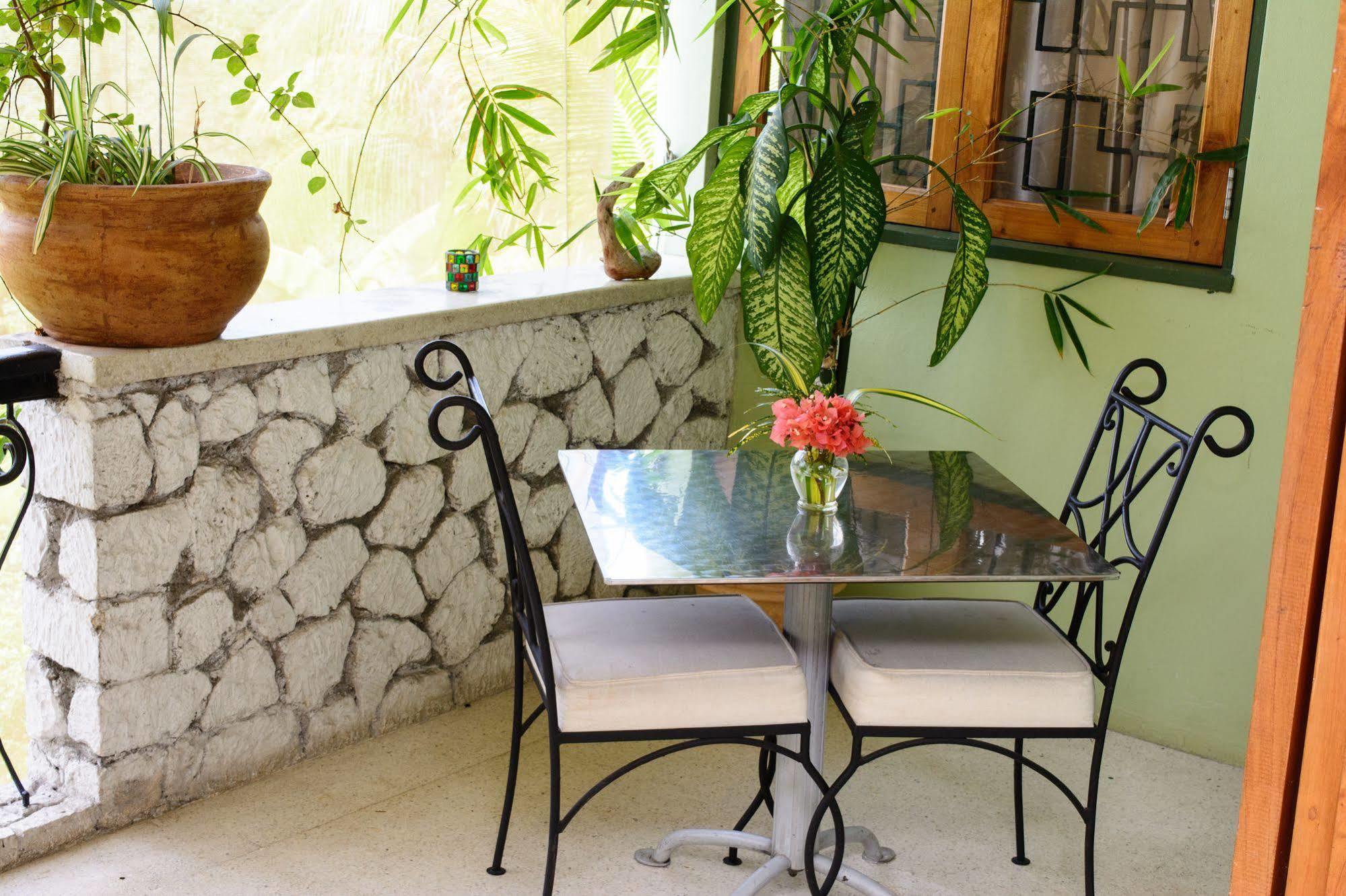 Mynt Retreat Bed & Breakfast Montego Bay Buitenkant foto