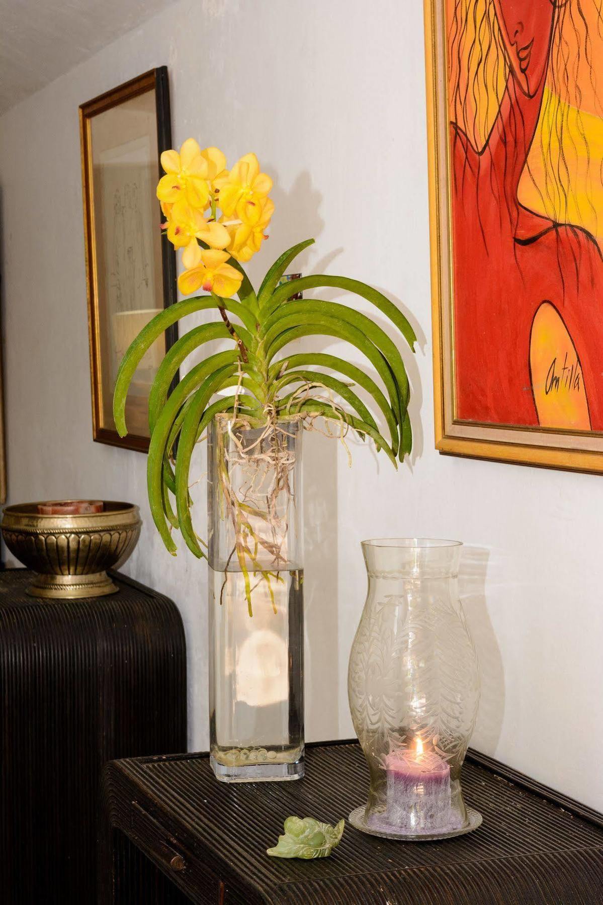 Mynt Retreat Bed & Breakfast Montego Bay Buitenkant foto