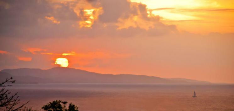 Mynt Retreat Bed & Breakfast Montego Bay Buitenkant foto