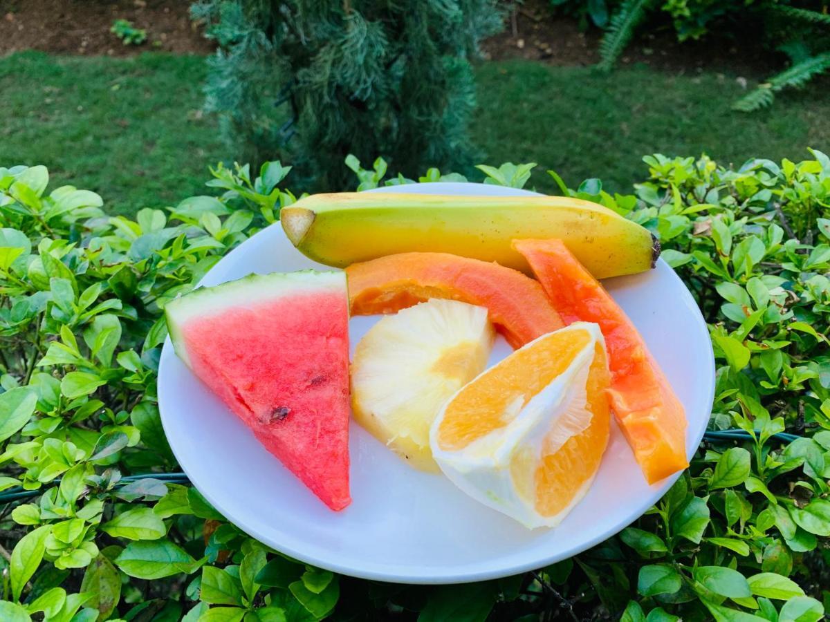 Mynt Retreat Bed & Breakfast Montego Bay Buitenkant foto